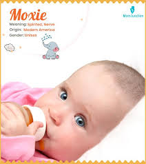 Knox Meaning, Origin, History, And Popularity