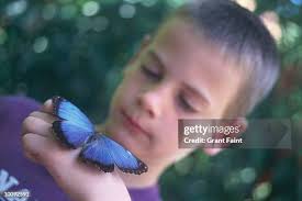 Boy And A Butterfly High-Res Stock Photo