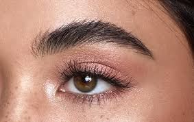 How do you restore your eyebrows? How To Grow Out Eyebrows When You Ve Overplucked Hd Brows Blog