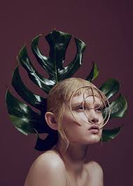 Will Tobin (wht5500)