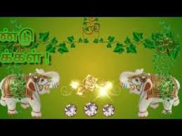 Chithirai 1 is an auspicious day for tamil speaking people in india (tamil nadu) and across the world, especially in sri lanka, singapore. Jkfkpg133m2uwm