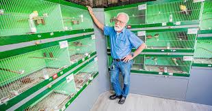 Dit besluit zorgt voor een handhaving van de verkoop van gezonde en goed verzorgde dieren. Aa7gapjovrpq0m