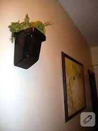 Duvar Saksisi 10marifet Org