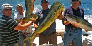Fish san diego's famous freshwater but saltwater fishing isn't all that san diego has to offer! San Diego Sport Fishing Charters And Fishing Guide Captain Clowers
