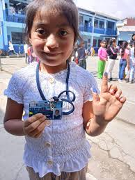 Elección del gobierno escolar 2025.