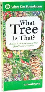 Everybody is welcome to post requests and/or help out with identifying!. Tree Identification Book From Arbor Day Foundation Helps Identify Tree Species Lifestyles Meridianstar Com
