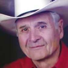 Norman Sterling Davis obituary and life story