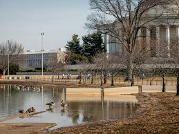 the national mall tidal basin is