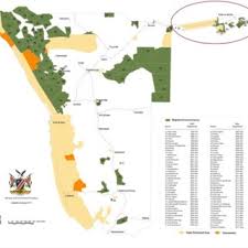 Image result for Limosella maior