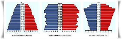 Pengertian Piramida Penduduk Dewasa Brainly Co Id