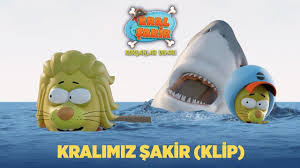 kral sakir panosundaki pin