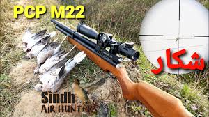 Many riflemen find the variable pump air rifles quite difficult to master. Dove Hunting With Air Rifle Full Hd Pest Control With Artemis M22 Pcp Airgun Youtube