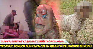 Etkileyici Rahatsiz Cumleler Home Facebook