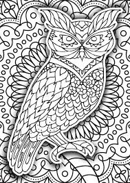 Owl reading to younglings coloring page. Printable Coloring Book Page For Adults Stock Vector Illustration Of Flower Animal 75627075