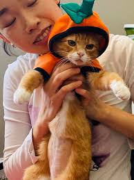 Can someone tell me who is this little fella hanging out in Super Nintendo  land? 🥰 he is adorable.