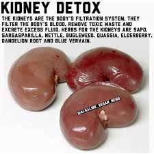 To Purchase These Herbs Click The Link In Bio Ships In 3 To 5 Days We Ship World Wide Sapo Tre Natural Liver Detox Liver Detox Detox Drinks Smoothies