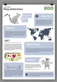 Aa41c8c1f92249de07644b4fe925ef43 Jpg 600 856 Animal Infographic Lemur Animal Facts For Kids