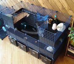 Pin On Guineapig Cages