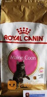 Maybe you would like to learn more about one of these? Royal Canin Kitten Maine Coon Cat Food Makanan Kucing Tangerang Jualo