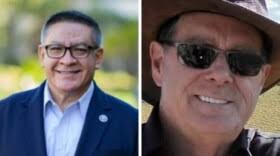 Government and Politics