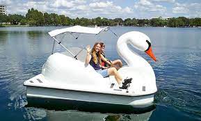 Brambles floating swan & duck food, 12.55kg. City Of Orlando Florida Up To 23 Off Orlando Fl Groupon