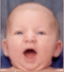 Adam Jonathan Piel (1999-1999)