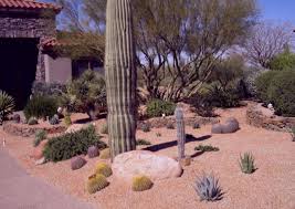 Patio front yard tips for front yard desert landscaping and how to the season change. Desert Landscaping Ideas
