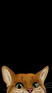 See My Collection Of Great Iphone And Android Cat Wallpapers And Background Images In High Definition Cat Wallpaper Android Phone Wallpaper Animal Wallpaper