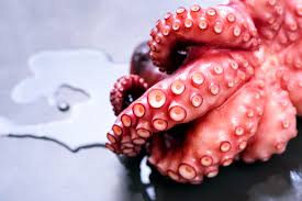 Maybe you would like to learn more about one of these? Bollire Il Polpo Alla Perfezione Giornale Del Cibo