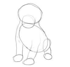 Go on for a while then sit back and take a minute to examine what you've drawn to establish the degree of likeness. Dog Sitting Down Sketch Dunia Belajar