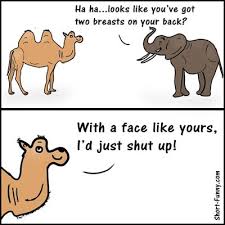 That is exactly the kind of jokes that we have for you. New Jokes 2021 2020 Short Funny Com