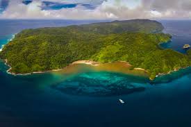 Image result for Cocos