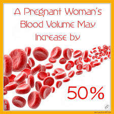 Image result for Blood Volume