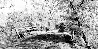 Everything Looks In Black And White Breamish Valley