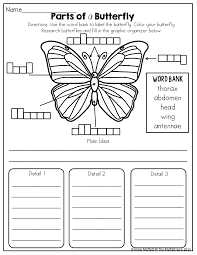Parts Of A Butterfly Tons Of Fun And Effective Printables For K 2 Second Grade Science Butterfly Science Butterfly Lessons