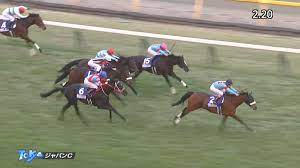 Nov 25, 2018 · ※1956年以降の中央競馬のレース結果が対象です。 ※チェックのない場合は、すべて選択となります。 ※馬齢・賞金は現在の表記にて統一しています。 ã‚¸ãƒ£ãƒ'ãƒ³ã‚«ãƒƒãƒ—2021 å‡ºèµ°äºˆå®šé¦¬ äºˆæƒ³ã‚ªãƒƒã‚º é¨Žæ‰‹ ã‚‚ã¯ã‚„ä¸–ç•Œã«æ•µã¯ã„ãªã„