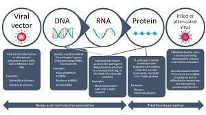 Jul 02, 2021 · a dose of an mrna vaccine may give recipients of viral vector vaccines — which appear to be less effective against the delta variant — a more robust immune response against the dangerous strain. Covid 19 Vaccine Platforms The Melbourne Vaccine Education Centre Mvec