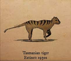 Animal extinctions may be caused by natural occurrences such as climatic heating or cooling or changes in sea levels. 18 Animals That Became Extinct In The Last Century Greenpeace Uk