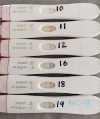 Line Progression With Betas At 19dpo Brand Frer Does This Seem Too Low Tfablineporn