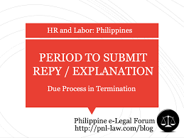 This is a consequence of being social animals, we set expectations for behavior and we enforce them. Due Process In Termination And Disciplinary Actions Minimum Period For Reply To Show Cause Notice Philippine E Legal Forum