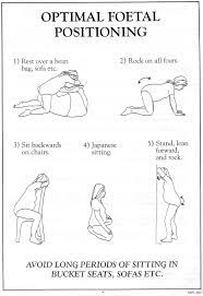 Pin On Pregnancy Birth Post Partum