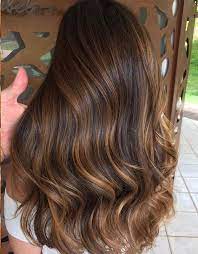 Fresh Brown Highlights Hair Color For Girls Long Hair Color Brunette Hair With Highlights Hair Color Highlights