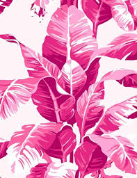 List Of Free Pink Tumblr Wallpapers Download Itl Cat Try changing to these awesome wallpapers. pink tumblr wallpapers download