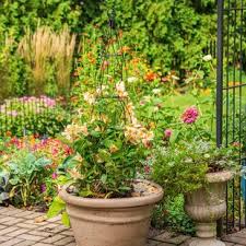 Our collection includes arbors, screens and garden arches in cedar as well as classic metal trellises in steel. Obelisk Trellises You Ll Love In 2021 Wayfair