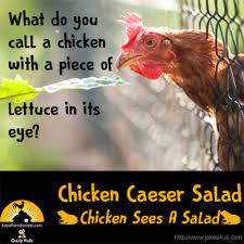 Joke Gallery Punny Jokes Funny Jokes And Riddles Lunchbox Jokes