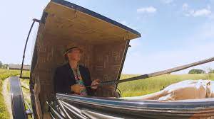 Studiował aktorstwo, socjologię i archeologię w warszawie oraz historię sztuki i socjologię. Cejrowski Arizona Dom