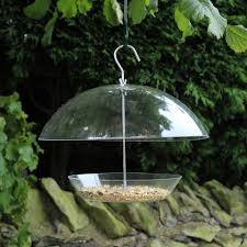 Maybe you would like to learn more about one of these? Dome Garden Bird Feeder