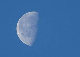 Iva Hatfield Archives