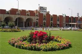 What problem does pims solve? Pims Deputy Executive Director Accused Of Harassment By Nurse Pakistan Dunya News
