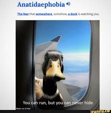Anatidaephobia C The Fear That Somewhere Somehow A Duck Is Watching You Ifunny In 2020 Best Funny Pictures What The Duck Ifunny